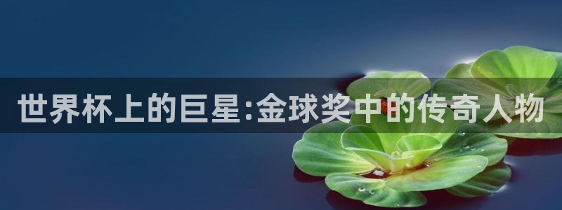 世界杯直播高清:世界杯上的巨星:金球奖中的传奇人物