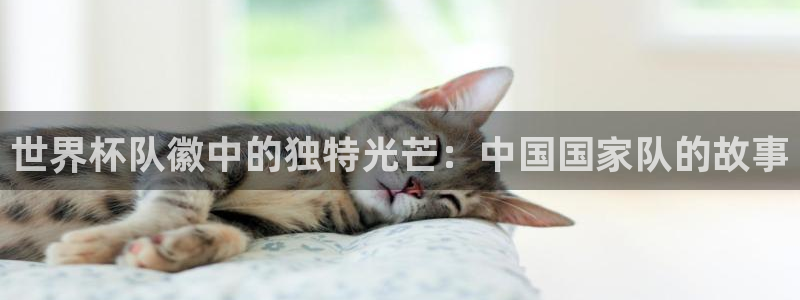 2026世界杯日期:世界杯队徽中的独特光芒:中国国家队的故事