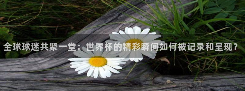 世界杯对阵表:全球球迷共聚一堂:世界杯的精彩瞬间如何被记录和呈现?
