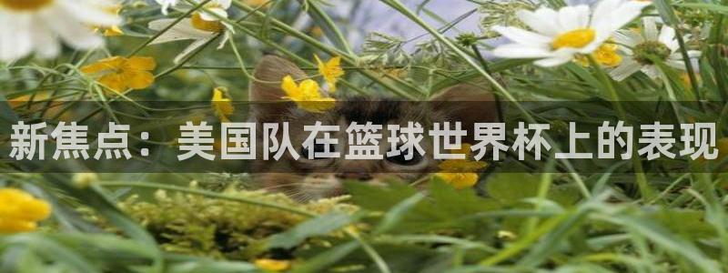 2026世界杯32强对阵图表:新焦点:美国队在篮球世界杯上的表现