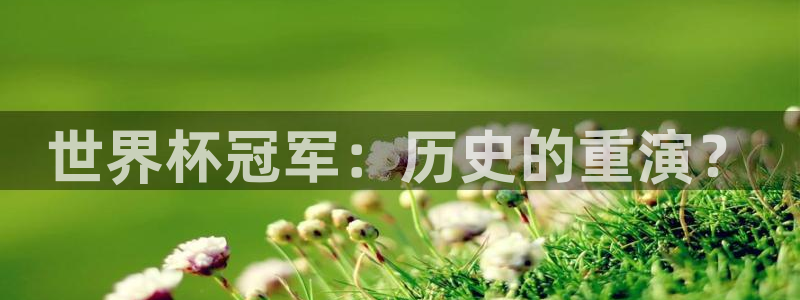 世界杯官网入口:世界杯冠军:历史的重演?