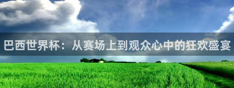 2026世界杯:巴西世界杯:从赛场上到观众心中的狂欢盛宴