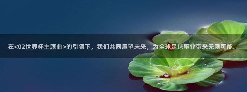 2026世界杯足球赛程时间表:在<02世界杯主题曲>的引领下,我们共同展望未来,为全球足球事业带来无限可能。