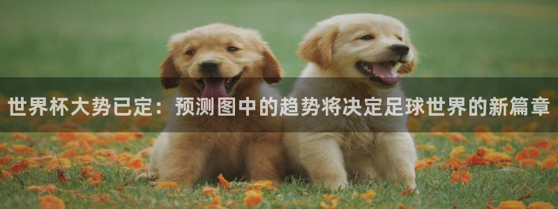 世界杯转播表:世界杯大势已定:预测图中的趋势将决定足球世界的新篇章