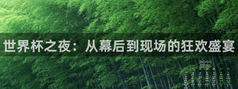 世俱杯直播:世界杯之夜:从幕后到现场的狂欢盛宴