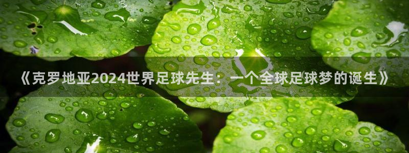 世界杯预选赛欧洲:《克罗地亚2024世界足球先生:一个全球足球梦的诞生》