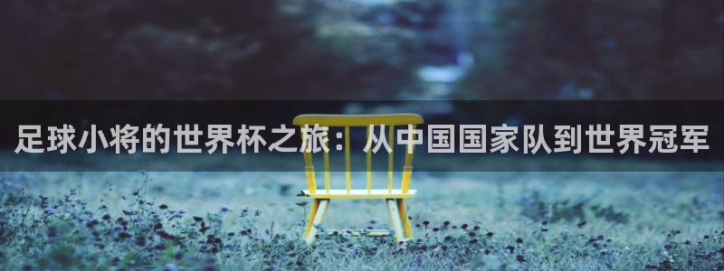 2026世界杯预选赛:足球小将的世界杯之旅:从中国国家队到世界冠军