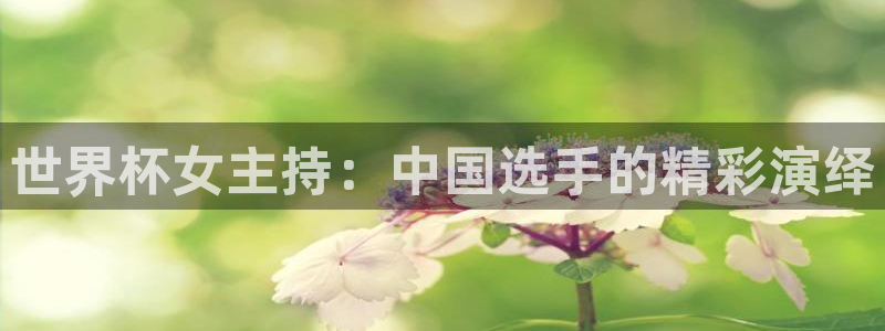 世界杯球队排名:世界杯女主持:中国选手的精彩演绎